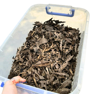 Encens de bois d'oud de haute qualité, poudres de graines premium, copeaux parfumés, boîtes en vrac, vente en gros, encens de frankincense, perles d'encens COSMIC - Product Image 2