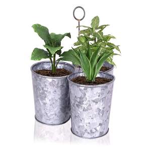 Pots à plantes doubles en métal galvanisé avec support à poignée, pot à plantes rustique pour la table, pour la maison, le jardin, vente en gros - Product Image 1