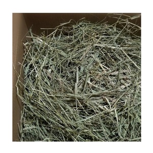 Foin de Timothy de qualité supérieure, prix promotionnel, pour l'alimentation animale - Product Image 4