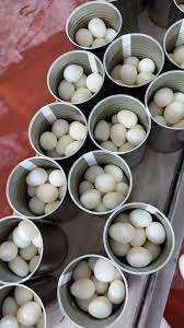 Œufs blancs en conserve très demandés, 100% frais et cuits, exportés du Vietnam - Product Image 3