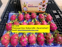 Verse Dragon Fruit/Pitaya Fruit 350GR Rood/Wit Vlees Graad A Kim Minh International KMI