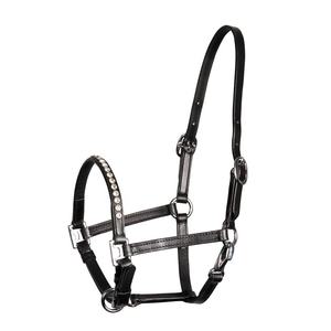 Licou en cuir de cheval avec casque en cuir verni et quincaillerie en laiton - Product Image 4