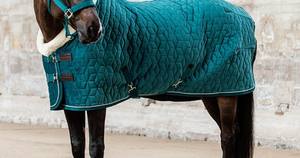 Nuevo diseño acolchado invierno caballo ecuestre alfombra Forro de algodón y correas para las piernas al por mayor tela Shell - Product Image 2