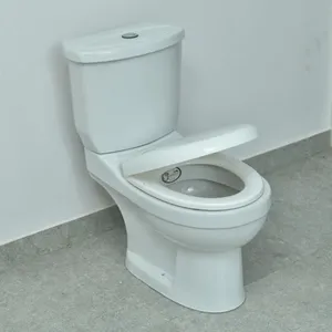 3/4.5L Flushing Flow Floor Mounted Ceramic Two Piece Water Closet Toilet from Trusted Supplier