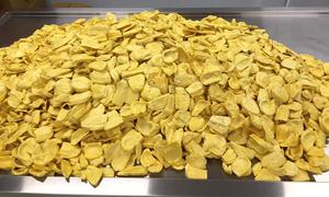 Fabricante de Jackfruit Seca de Vietnam que Suministra Chips de Jackfruit Dulces y Suaves para Mercados Extranjeros - Product Image 6