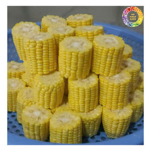 Granos de maíz hervidos congelados, maíz dulce amarillo congelado IQF para sopas, arroz o guarniciones, granos de maíz glutinoso blanco congelado - Product Image 3