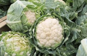 Polvo de Semilla de Coliflor Silvestre Natural, Extracto Vegetal de Grado Alimenticio, Envase de Plástico para Alimentos Funcionales, Fabricante OEM de Tailandia - Product Image 5