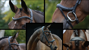 Ensemble de collier de tête et de poitrine en cuir de nouvelle conception avec des rênes ensemble de bride en cuir occidental de haute qualité - Product Image 5