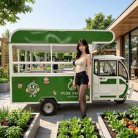 Camion de restauration mobile électrique personnalisable avec cuisine complète et équipement commercial pour chariot de petit-déjeuner