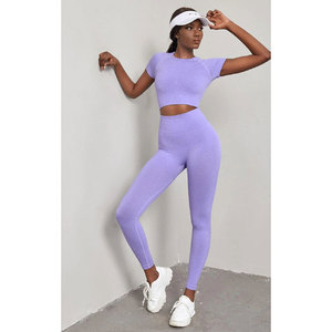 Custom Women Yoga Sets <b>Seamless</b> Workout Gym Wear <b>Leggings</b> and Sports Bra Fitness Set - Product Image 1