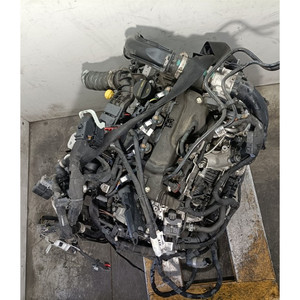 MOTOR COMPLETO FORD Transit Connect Serie Z2GA Z2GA diésel 1499 (13>) - Product Image 5