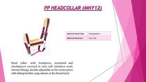 Ensemble de rênes en corde unique 2025, dernier modèle, rembourrage doux en nylon, couleur personnalisée, équipement de course de chevaux durable - Product Image 2