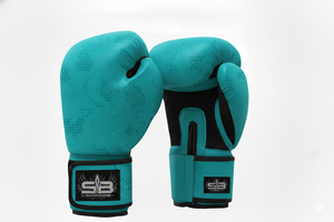 Equipo de boxeo de alta calidad - Product Image 5