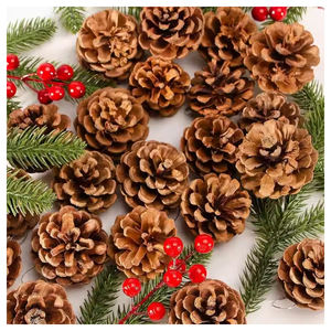 Suministro de fábrica, mejor precio, conos de pino decorativos, tela de flores secas con cono de pino, Papá Noel eléctrico - Product Image 3