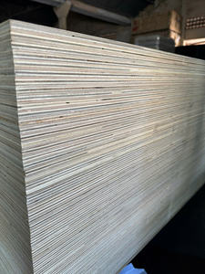 Contrachapado de Abedul D/D D/E de 12 mm/15 mm/18 mm, Contrachapado de Abedul de Vietnam para Uso en Interiores, E1 para Muebles Industriales, Gabinetes de Cocina, Corte Láser CNC - Product Image 3