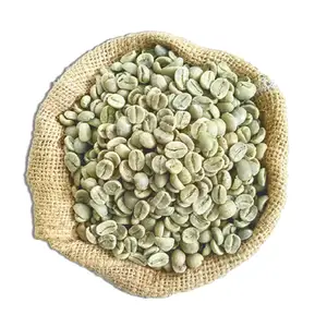 批发全球运输98% 成熟天然罗布斯塔绿色咖啡豆