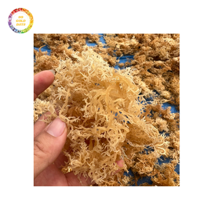 Musgo del Mar de Irlanda al por mayor-Musgo del Mar de Irlanda dulce y de alta calidad para exportar a precios asequibles - Product Image 1