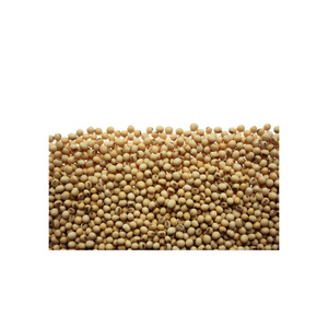 High Quality Organic Non-GMO <b>Soybeans</b> Dried in Bulk Packaging - Product Image 5
