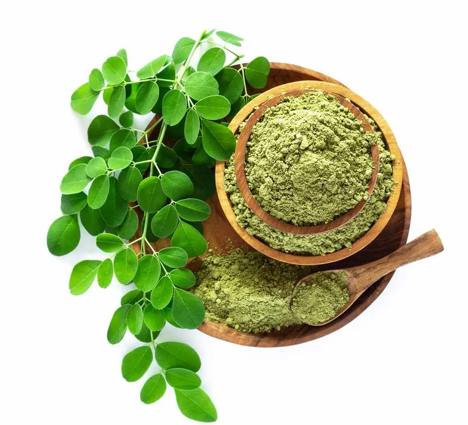 2023 Herbal Supplements Good Quality Pure Moringa Powder In Premium Price Good For Sugar Patients High Vitamins Customized