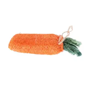 Si vous recherchez des jouets fabriqués à partir de la nature pour votre animal de compagnie, le luffa est un bon choix. - Product Image 1