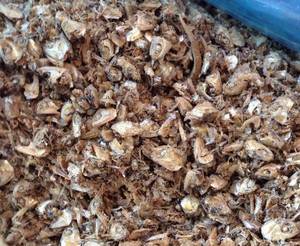 Poudre de coquille de crevette du Vietnam avec le prix le plus bas pour l'alimentation des animaux poudre de farine de poisson séchée - Product Image 2