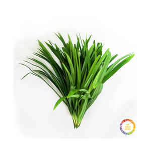 100% IQF Frozen Pandan hojas Frozen Pandan Leaf Bulk Packed IQF Proceso de congelación 99 Datos de oro - Product Image 3