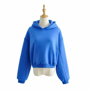 Nouveaux sweats à capuche d'hiver pour hommes 2025, coupe classique, vierges, unis, brodés, 100 % coton, personnalisables en gros, haute qualité - Product Image 6