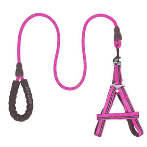 Ensemble Harnais et Laisse de Luxe pour Chien Taille XL – Confortable, Sûr, Anti-Évasion, Respirant, en Nylon et Acier Inoxydable, Style Solide et Motif Élégant - Product Image 3