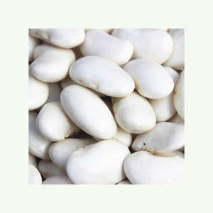 Vente en gros de haricots blancs en sucre biologique naturel Haricots blancs séchés en vrac de haute qualité - Product Image 1