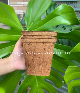 Pot en fibre de coco biodégradable 100% en gros/fibre de coco pour pot/pot de fleur en fibre de coco fabriqué en Eco2go Vietnam - Product Image 6