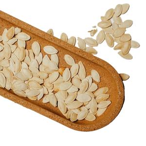 Semillas de Calabaza Secas de Primera Calidad, Snack Saludable Natural, Suministro al por Mayor para Minoristas y Distribuidores - Product Image 2