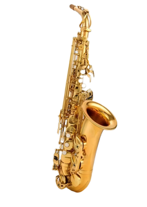 Sassofono Contralto in Mi Bemolle Laccato Oro con Corpo in Ottone e Tono EB - Product Image 3