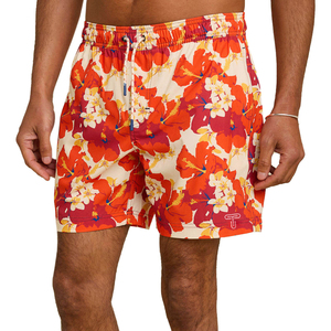 Pantalones Cortos de Playa de Fabricante Pakistaní, Pantalones Cortos de Playa de Marca Privada, Nuevo Diseño de Pantalones Cortos de Playa para Hombre - Product Image 3