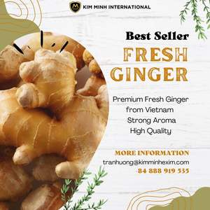 Jengibre Fresco de Vietnam de Alta Calidad con Proveedor de Grado de Exportación - Product Image 1