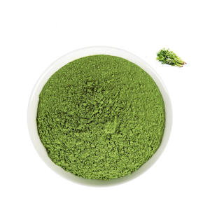 Polvo de extracto de hojas de cilantro Polvo de semilla de cilantro a granel Extracto de cilantro de fábrica buen extracto bueno - Product Image 1