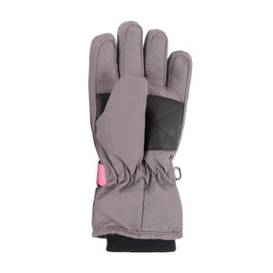 Low MOQ 2024 Customized Waterproof Gloves <b>for</b> Cold Weather Ski <b>Snowboard</b> Gloves Best Quality Ski Gloves <b>for</b> <b>Sale</b> - Product Image 6