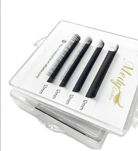 Nhà Cung Cấp Biểu Tượng Tùy Chỉnh Matte Màu Đen Cá Nhân Lash Số Lượng Lớn Tổng Hợp Tóc Fan Lông Mi Kit Với Cụm Lông Mi - Product Image 6