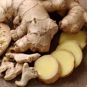 GINGER BUY FRESH GINGER FROM NHA HUYNH FARM SUPPLIER IN VIETNAM AGRICULTURAL PRODUCT FOR EXPORT ROOT PRICE