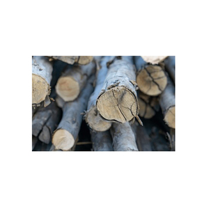68. Best Product - Beech <b>Wood</b> Construction - Round <b>Wood</b> <b>Logs</b> for Sale - Beech Sawn <b>Wood</b> Lumber Export - Product Image 2