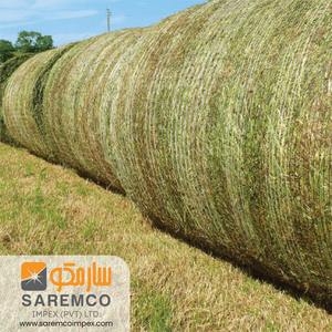 Double balles compressées de qualité supérieure Rhodes herbe séchée aliments pour animaux pour porc bétail cheval vache mouton consommation paille de blé Pakistan - Product Image 6