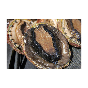 Abalone frais de qualité export, fourni en gros pour la revente et la distribution - Product Image 6