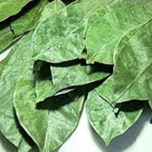 ทุเรียนเทศธรรมชาติบริสุทธิ์สำหรับชาสมุนไพรใบชาเขียวแบบแห้ง - Product Image 4