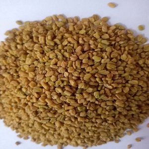 Graines de fenugrec naturelles RGPL Radiance Global, pureté 99%, origine Tamil Nadu, durée de conservation 1 an, modèle 02, pour assaisonnement culinaire - Product Image 4