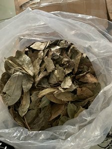 Feuilles de corossol séchées Fournisseur vietnamien de base de tisane Graviola naturelle pour le marché des boissons - Product Image 3