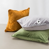 Prix de gros de haute qualité maison décorative velours housse de coussin jeter oreiller pour canapé carré en forme d'oreiller par ITHL