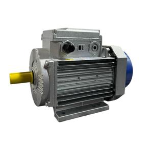 Moteur électrique à courant alternatif monophasé 12 mois de garantie Moteur asynchrone 240V 220V-50Hz-60Hz Moteur en fonte d'aluminium à courant alternatif - Product Image 6