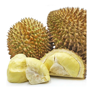 Carne Durian congelada de Vietnam, pulpa Durian congelada, trozos de Durian IQF para postres, batidos y aplicaciones en la industria alimentaria - Product Image 4