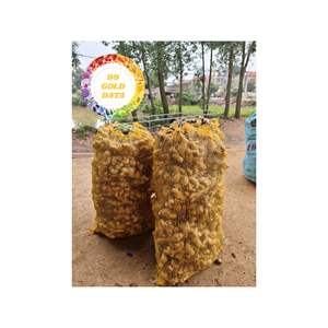 RACINE DE GINGEMBRE FRAIS DE HAUTE QUALITÉ BIOLOGIQUE DU VIETNAM APPROVISIONNEMENT EN VRAC D'EXPORTATION ARÔME NATUREL D'ÉPICES POUR LE THÉ ET LES ALIMENTS - Product Image 5