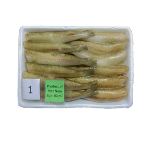 Sillago Congelado, Sin Cabeza, Eviscerado, con Escamas, Origen Vietnam, Pescado Procesado a Granel, IQF, Envasado al Vacío, Suministro para Servicios de Alimentos de Exportación - Product Image 1