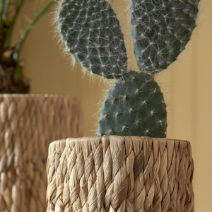 Buen precio, maceta de jacinto de agua natural, maceta de interior, decoración del hogar hecha a mano en Vietnam - Product Image 3